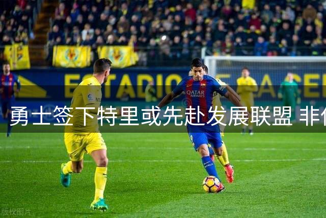 勇士签下特里或先赴发展联盟 非保障合同暗藏竞争压力