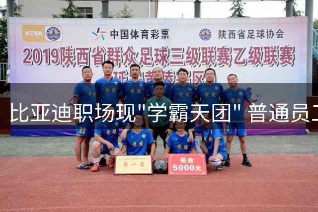 比亚迪职场现"学霸天团" 普通员工坦言压力山大