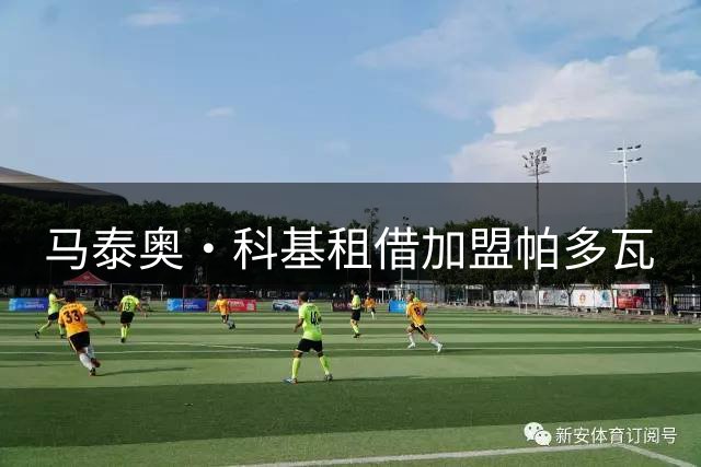 马泰奥·科基租借加盟帕多瓦